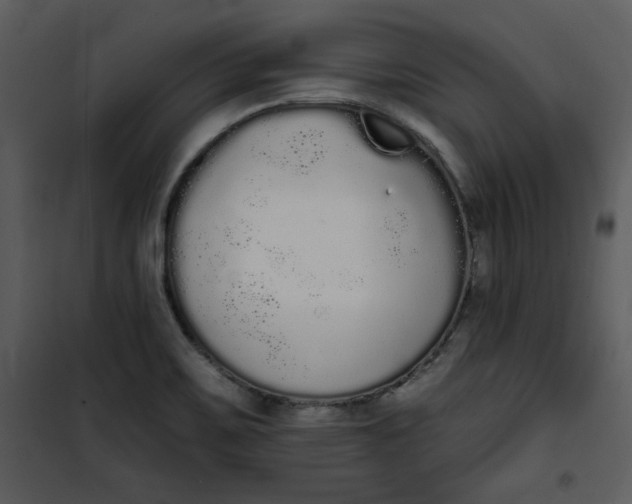 X0000101231467200807181552