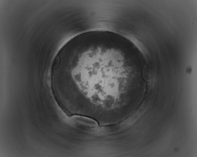 X0000101231468200807181552