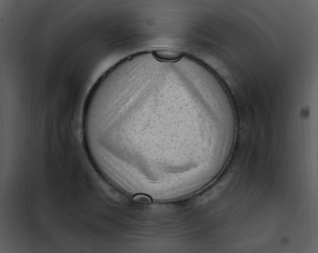 X0000101231469200807181552