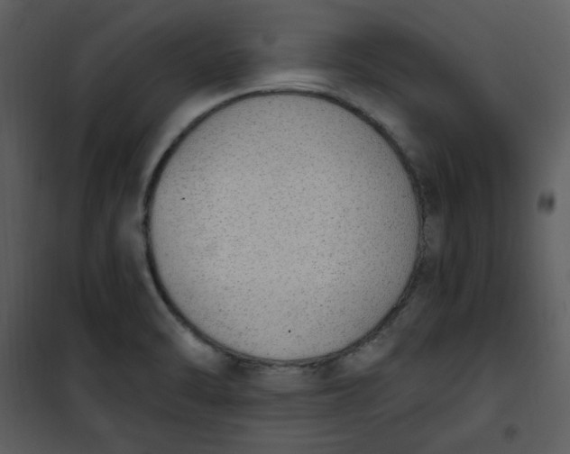 X0000101231470200807181551