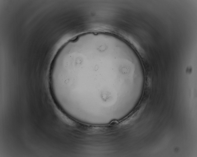 X0000101231471200807181551