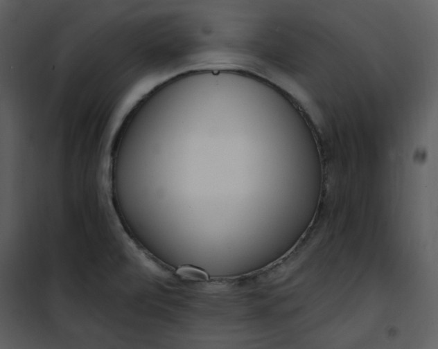 X0000101231472200807181551