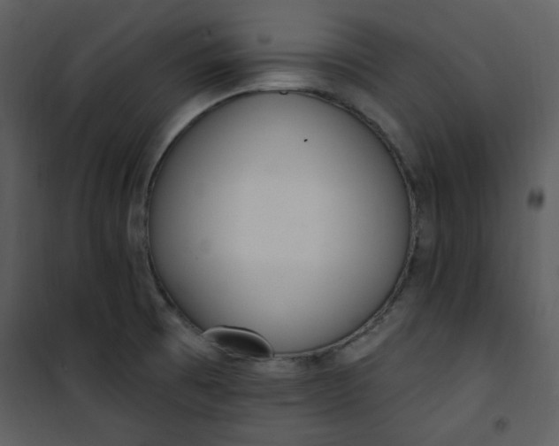 X0000101231473200807181551