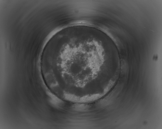 X0000101231474200807181551