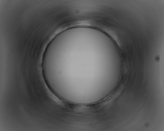 X0000101231475200807181551