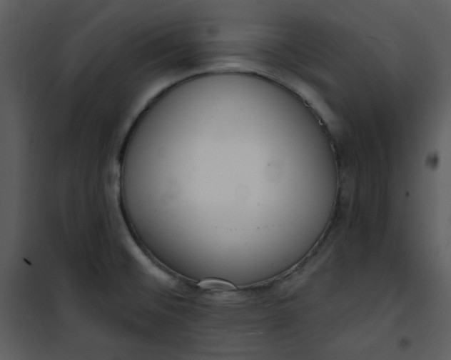 X0000101231476200807181551