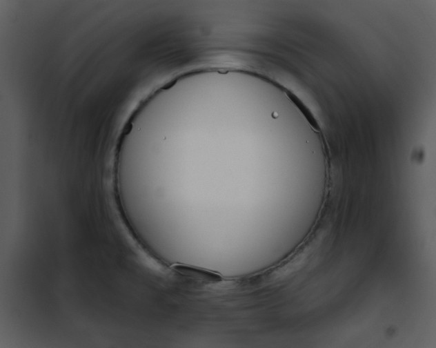 X0000101231477200807181551