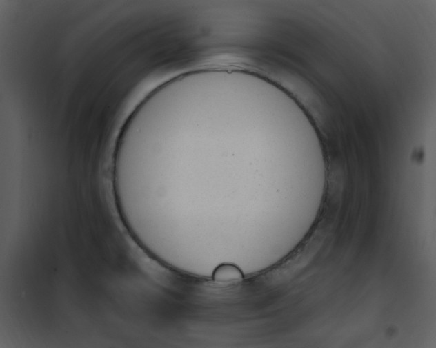 X0000101231478200807181551