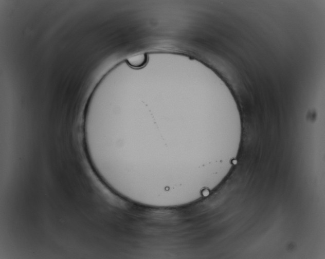 X0000101231479200807181551