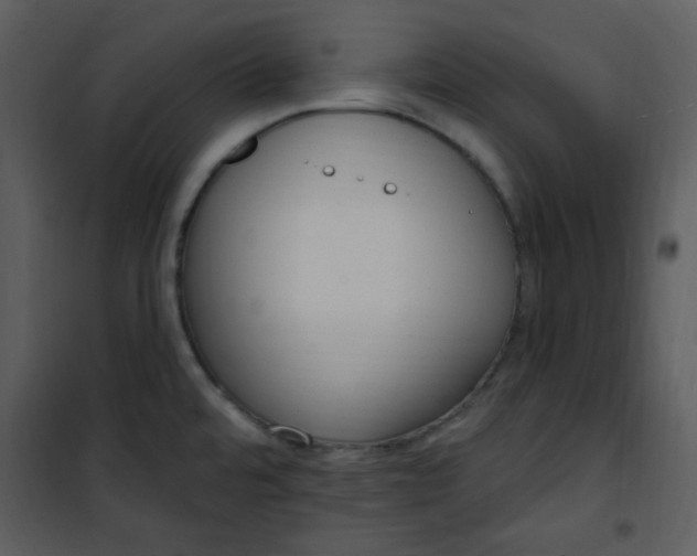 X0000101231480200807181551