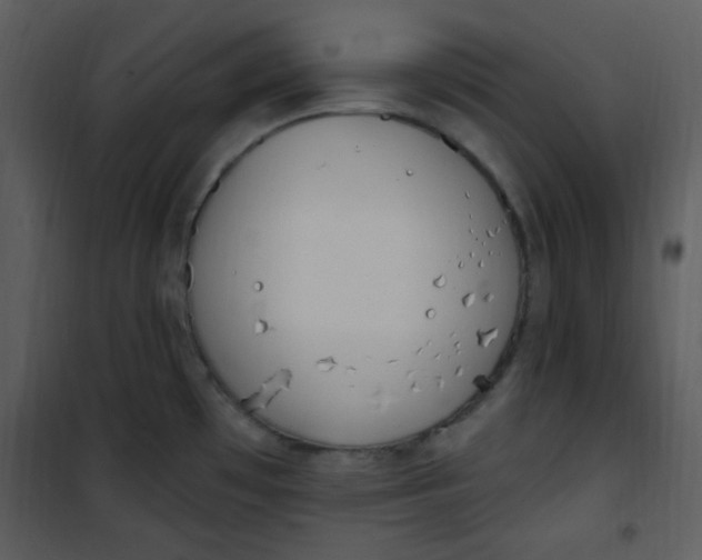 X0000101231481200807181551