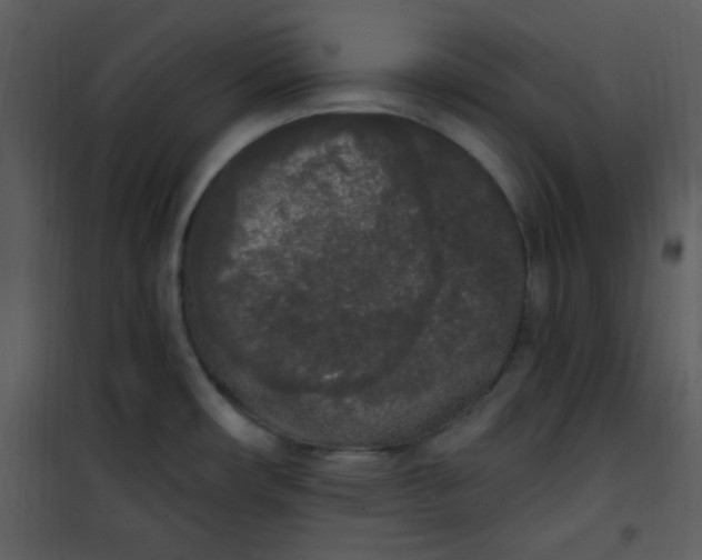 X0000101231482200807181551