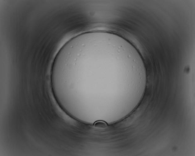 X0000101231483200807181551