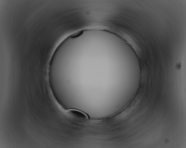 X0000101231484200807181551