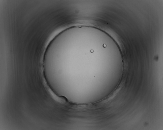 X0000101231485200807181551