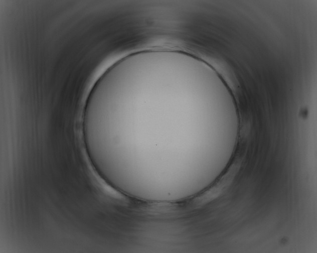 X0000101231486200807181551