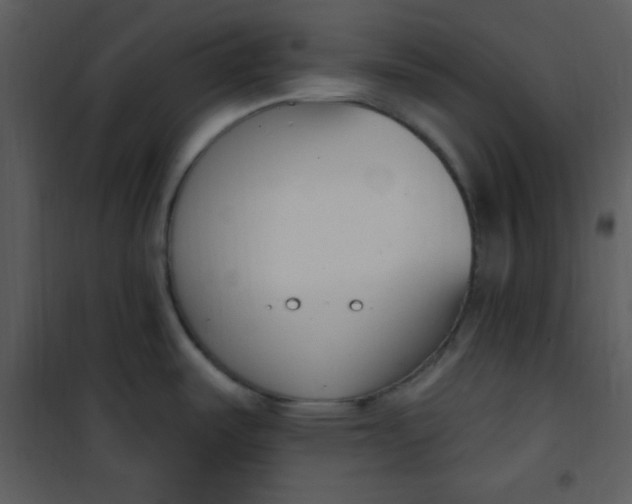 X0000101231487200807181551