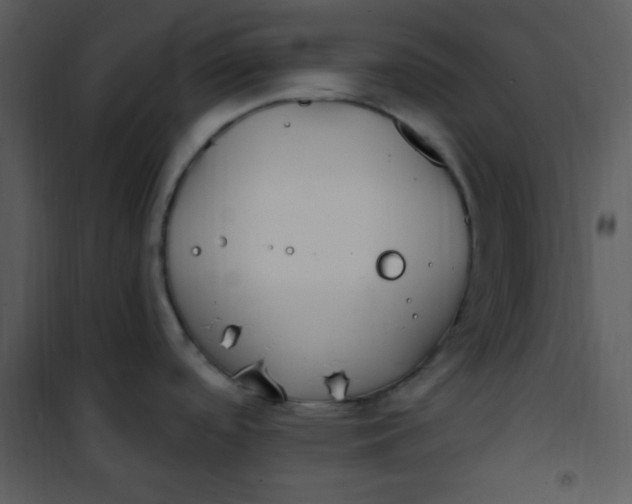 X0000101231488200807181551