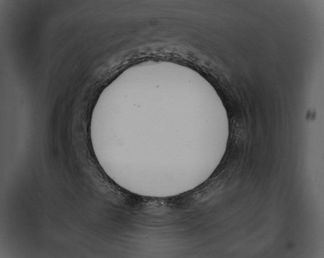 X0000101231489200807181550