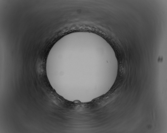 X0000101231490200807181550