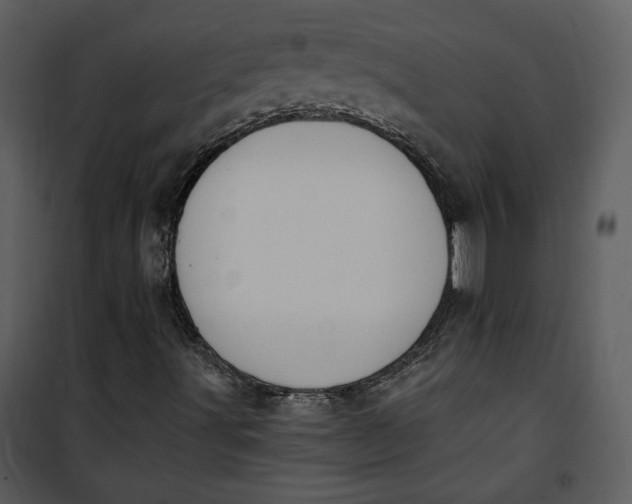 X0000101231491200807181550