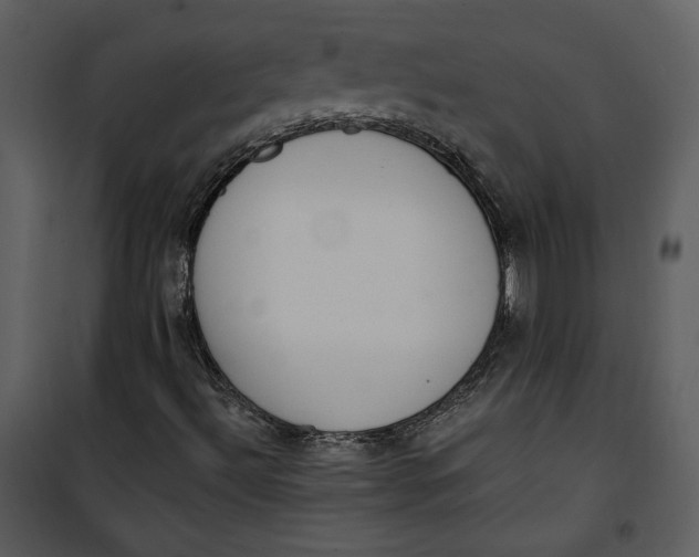 X0000101231492200807181550