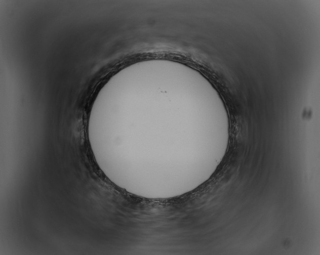 X0000101231493200807181550