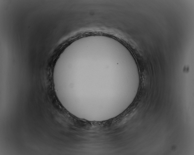 X0000101231494200807181550