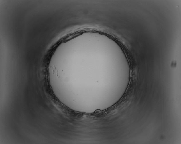 X0000101231496200807181550