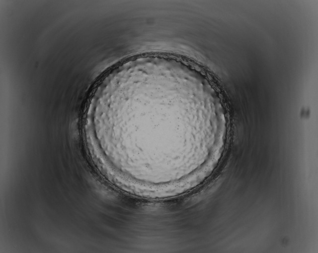 X0000101231497200807181550