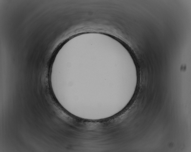 X0000101231498200807181550