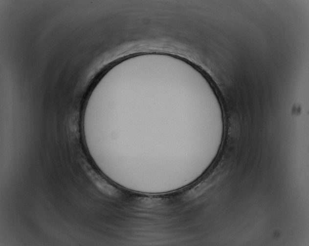 X0000101231499200807181550