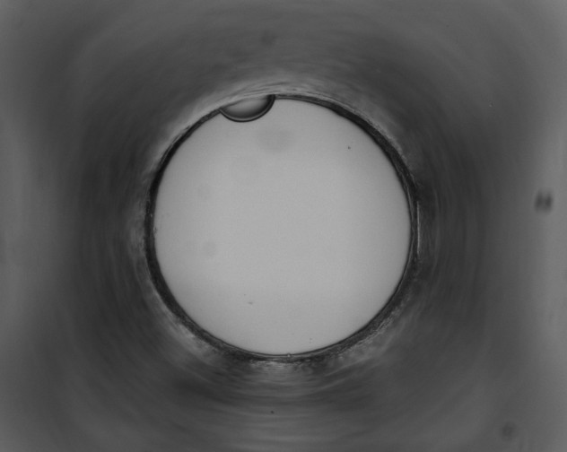 X0000101231500200807181551