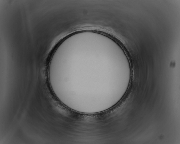 X0000101231501200807181551