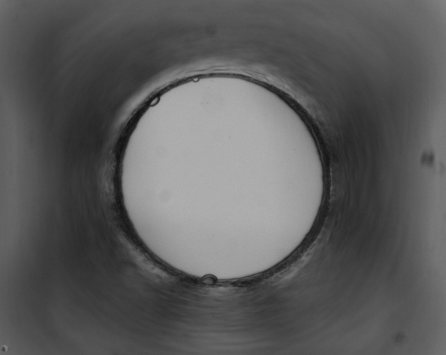 X0000101231502200807181551