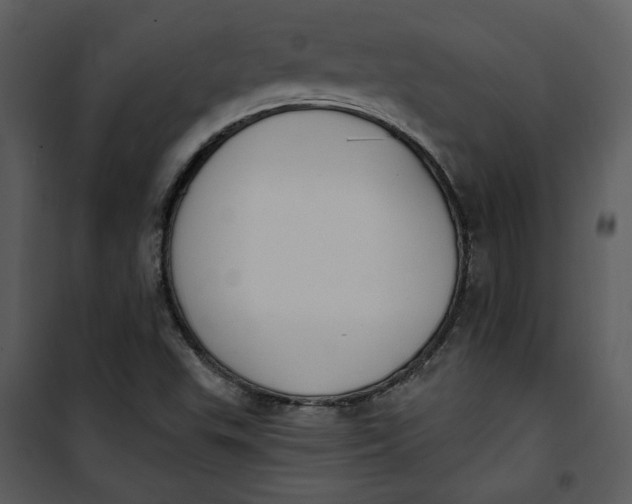 X0000101231503200807181551