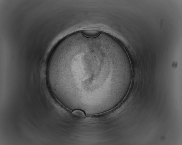 X0000101231506200807181551