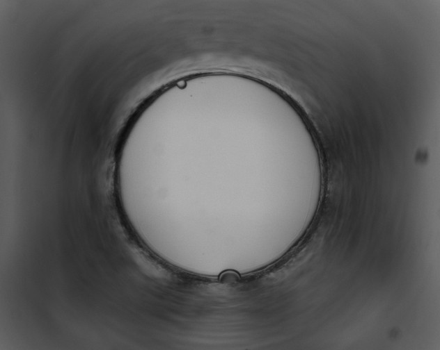 X0000101231507200807181551