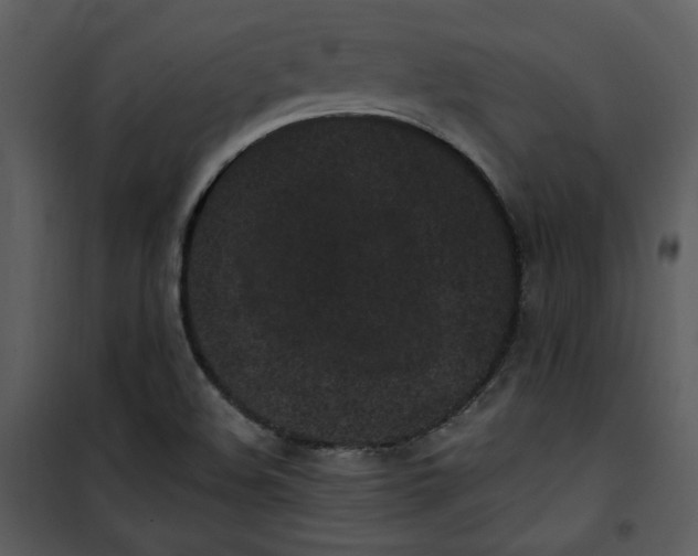 X0000101231508200807181551