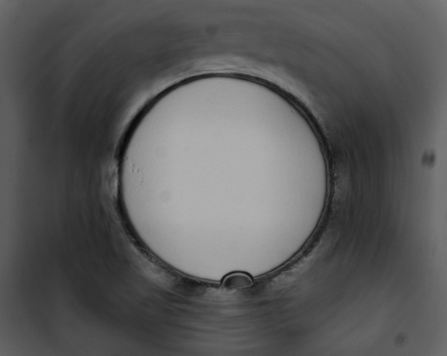 X0000101231509200807181551