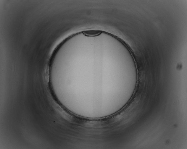 X0000101231510200807181551