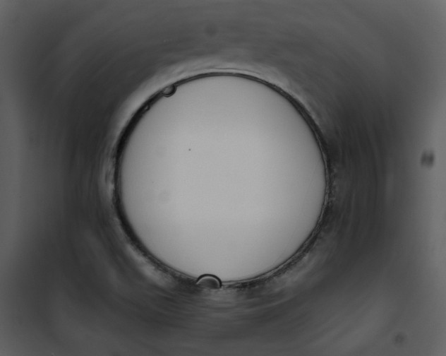 X0000101231511200807181551