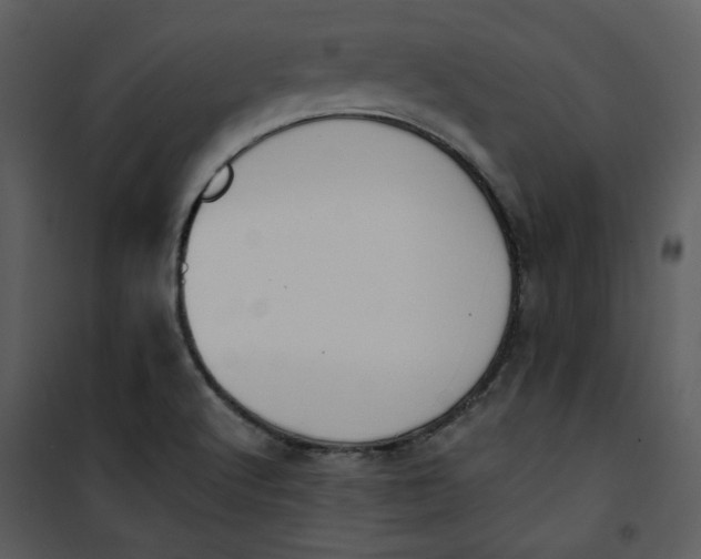 X0000101231512200807181551