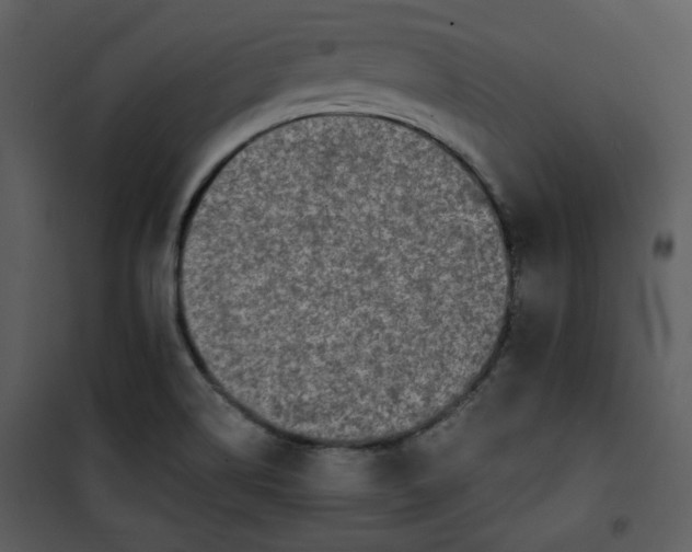 X0000101231514200807181551