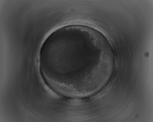 X0000101231515200807181551