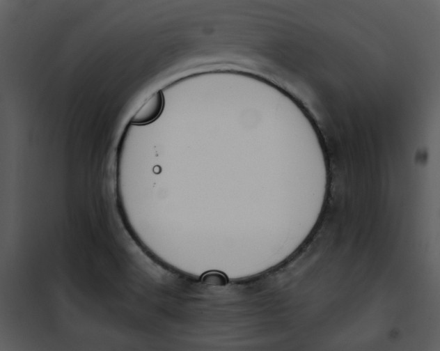 X0000101231516200807181551