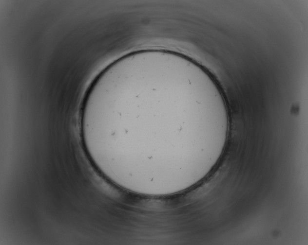 X0000101231517200807181551