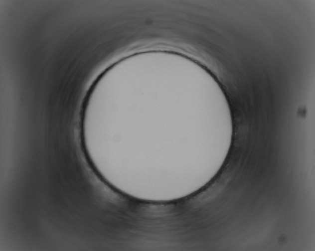 X0000101231518200807181551