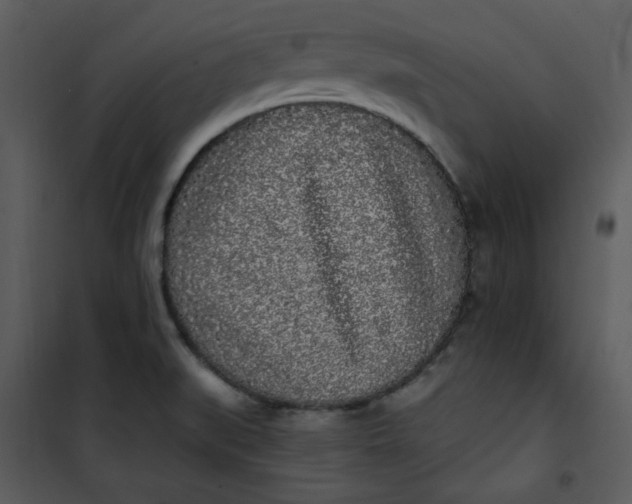 X0000101231519200807181551