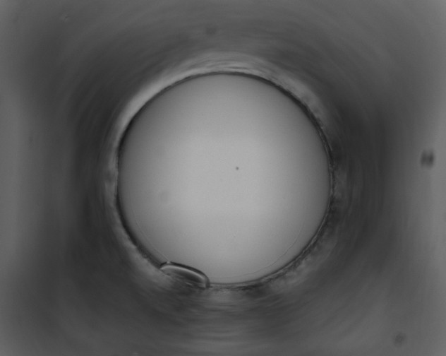 X0000101231520200807181551